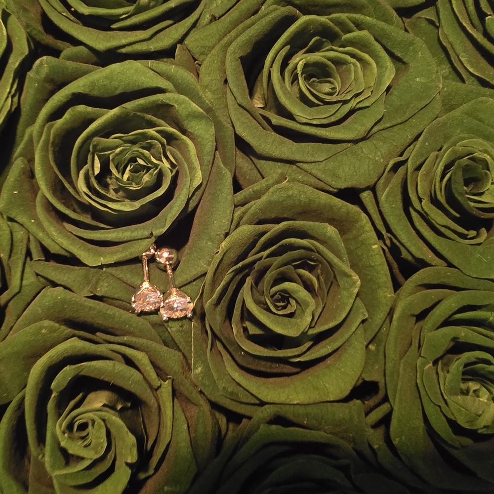 Moissanite 1 ct Solid Silver Screw Back Stud Earrings, Perfect Elegant Gift - Picture 3 of 7